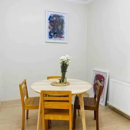 Flat In The Center Of Kadikoy,yeldegirmeni Appartement Istanboel